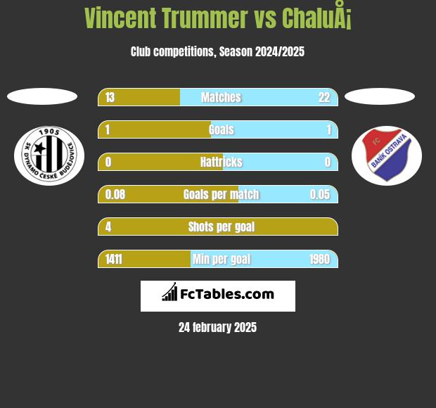 Vincent Trummer vs ChaluÅ¡ h2h player stats