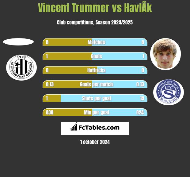 Vincent Trummer vs HavlÃ­k h2h player stats