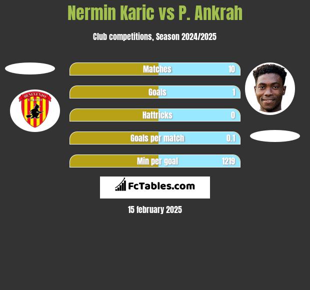 Nermin Karic vs P. Ankrah h2h player stats