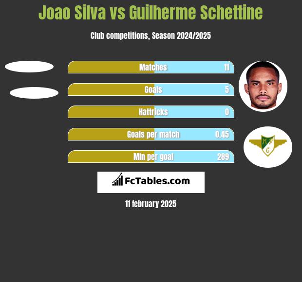 Joao Silva vs Guilherme Schettine h2h player stats