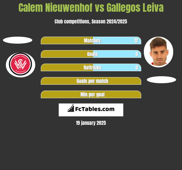 Calem Nieuwenhof vs Gallegos Leiva h2h player stats