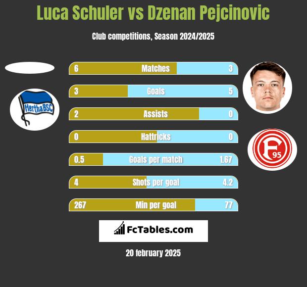 Luca Schuler vs Dzenan Pejcinovic h2h player stats