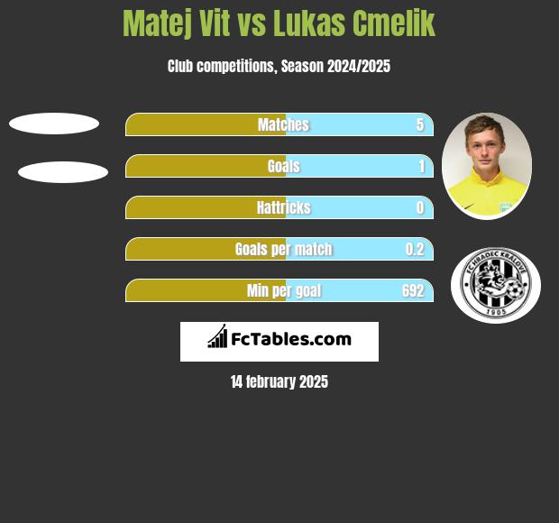 Matej Vit vs Lukas Cmelik h2h player stats