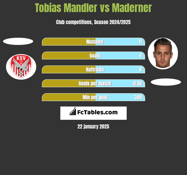 Tobias Mandler vs Maderner h2h player stats