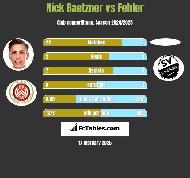 Nick Baetzner vs Fehler h2h player stats