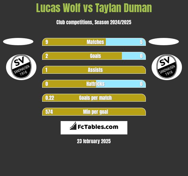 Lucas Wolf vs Taylan Duman h2h player stats