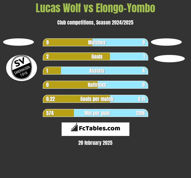 Lucas Wolf vs Elongo-Yombo h2h player stats