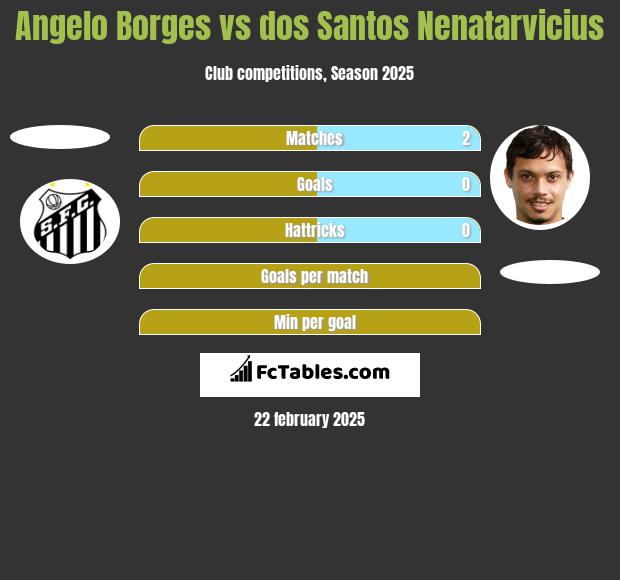 Angelo Borges vs dos Santos Nenatarvicius h2h player stats