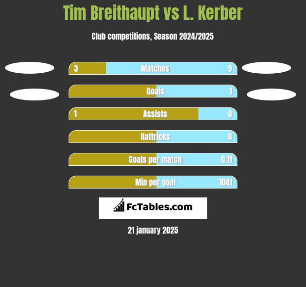 Tim Breithaupt vs L. Kerber h2h player stats