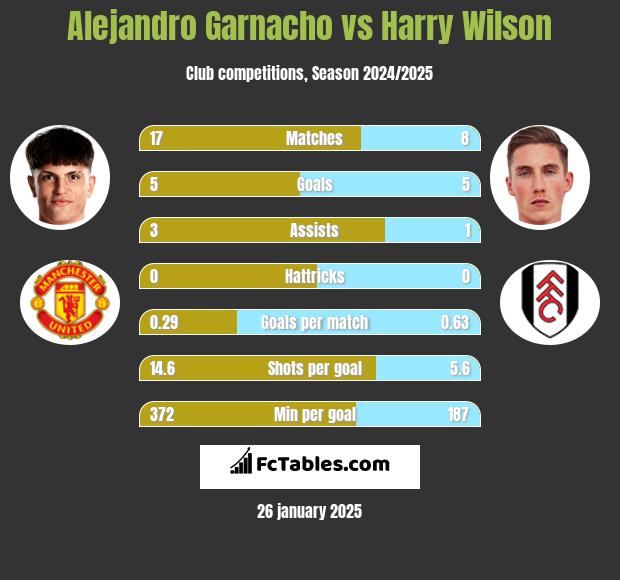 Alejandro Garnacho vs Harry Wilson h2h player stats