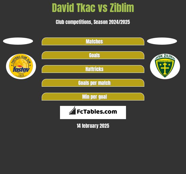 David Tkac vs Ziblim h2h player stats