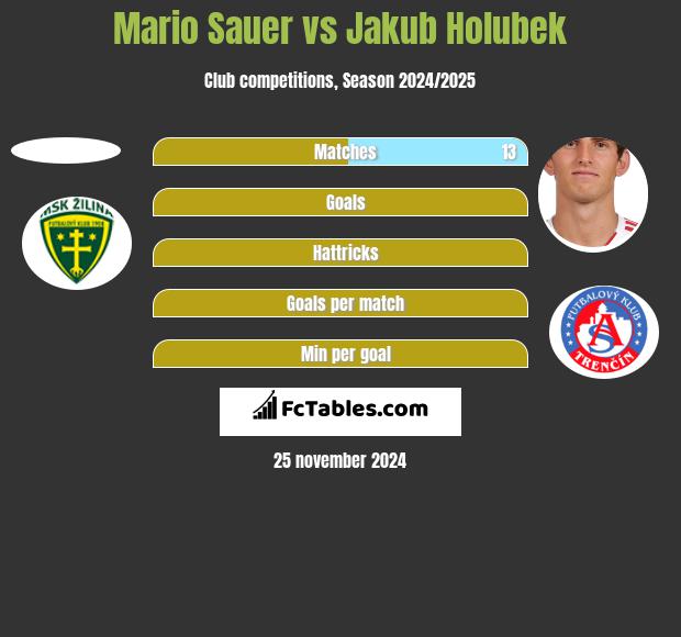 Mario Sauer vs Jakub Holubek h2h player stats