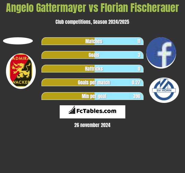 Angelo Gattermayer vs Florian Fischerauer h2h player stats