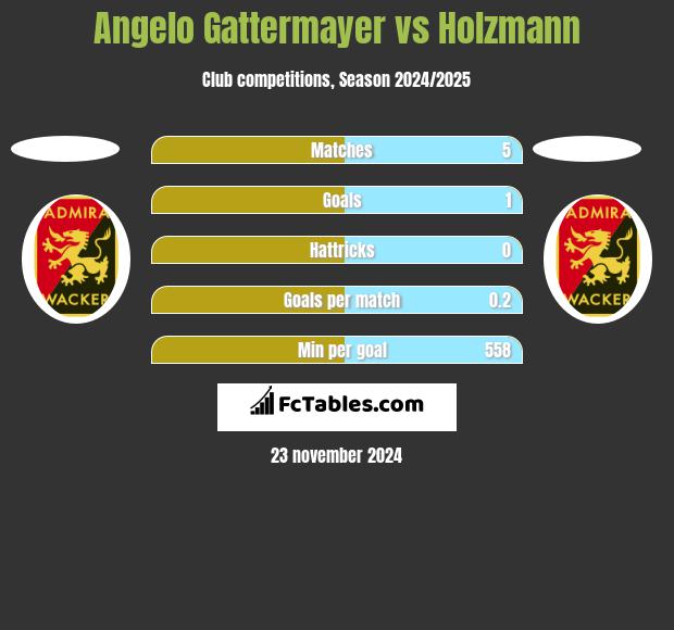 Angelo Gattermayer vs Holzmann h2h player stats