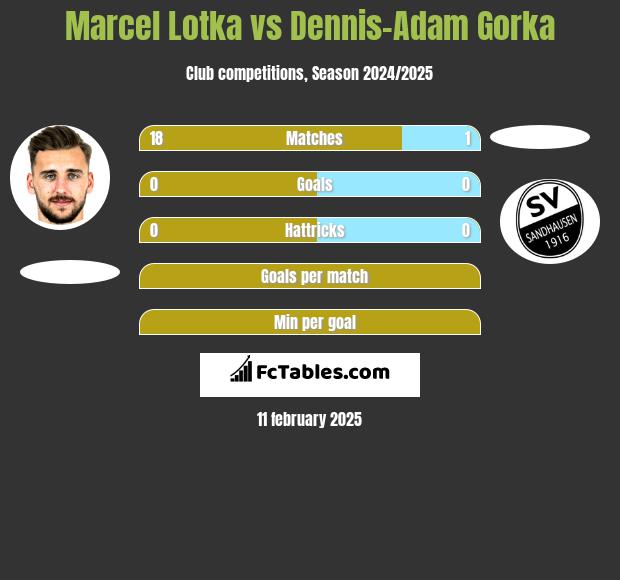 Marcel Lotka vs Dennis-Adam Gorka h2h player stats