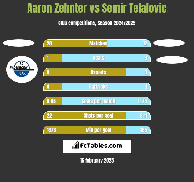 Aaron Zehnter vs Semir Telalovic h2h player stats