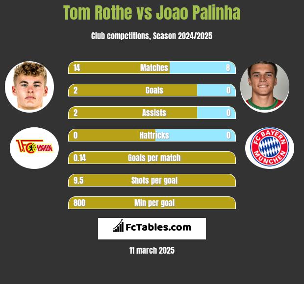 Tom Rothe vs Joao Palinha h2h player stats