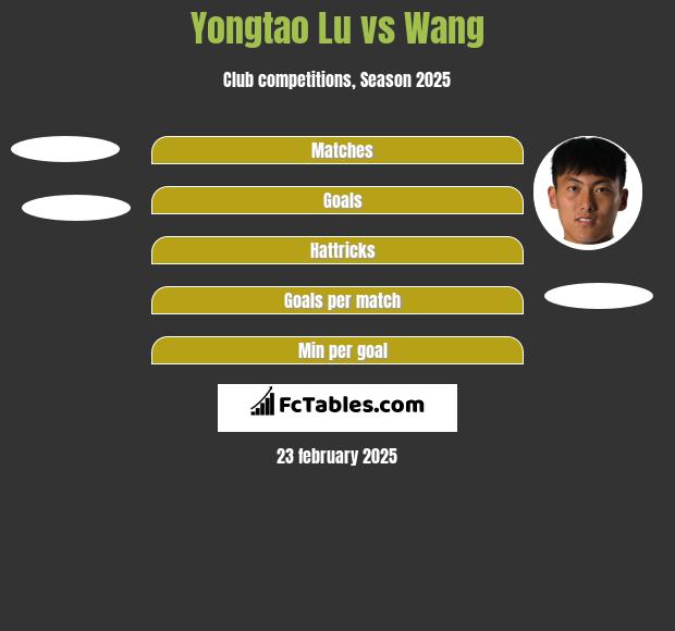 Yongtao Lu vs Wang h2h player stats