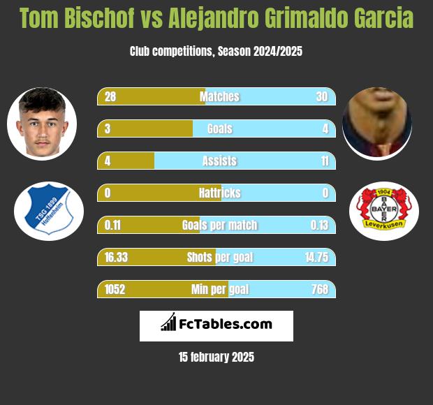 Tom Bischof vs Alejandro Grimaldo Garcia h2h player stats