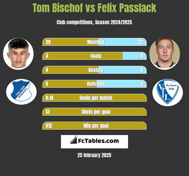 Tom Bischof vs Felix Passlack h2h player stats