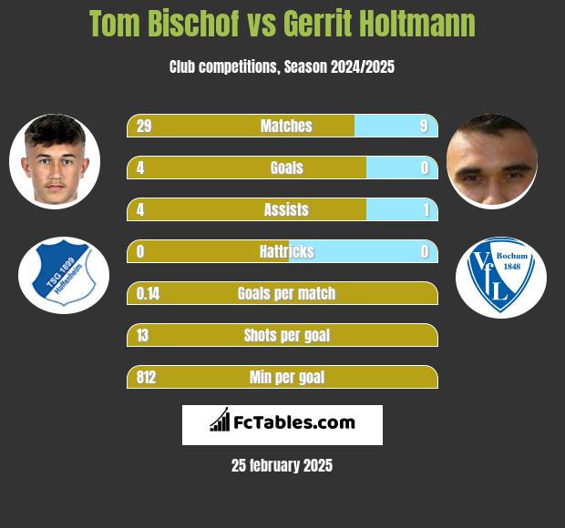 Tom Bischof vs Gerrit Holtmann h2h player stats