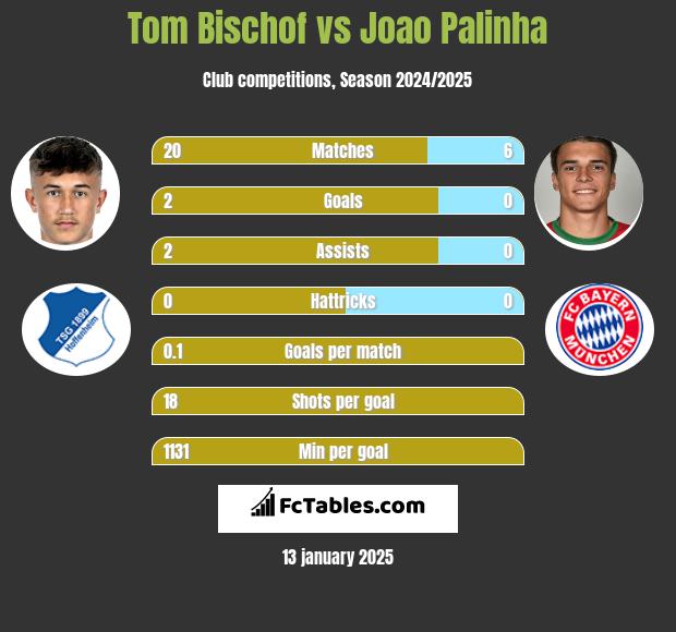 Tom Bischof vs Joao Palinha h2h player stats