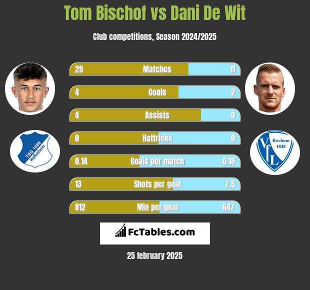 Tom Bischof vs Dani De Wit h2h player stats