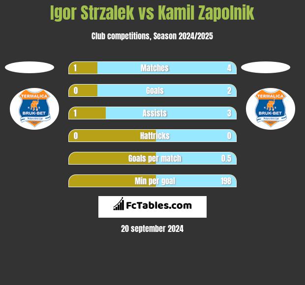 Igor Strzalek vs Kamil Zapolnik h2h player stats