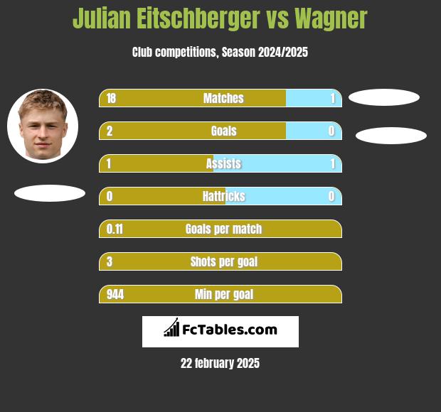 Julian Eitschberger vs Wagner h2h player stats