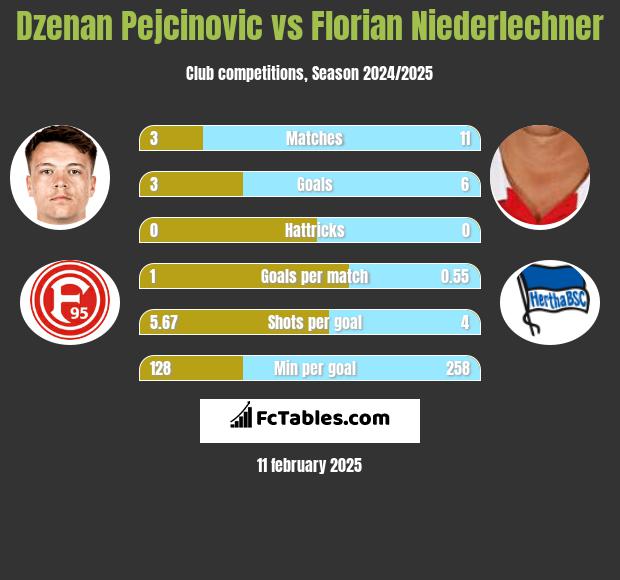 Dzenan Pejcinovic vs Florian Niederlechner h2h player stats