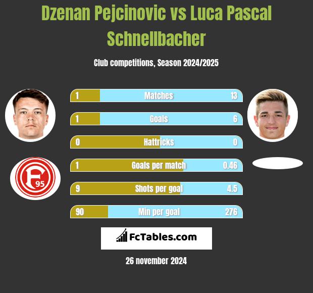 Dzenan Pejcinovic vs Luca Pascal Schnellbacher h2h player stats