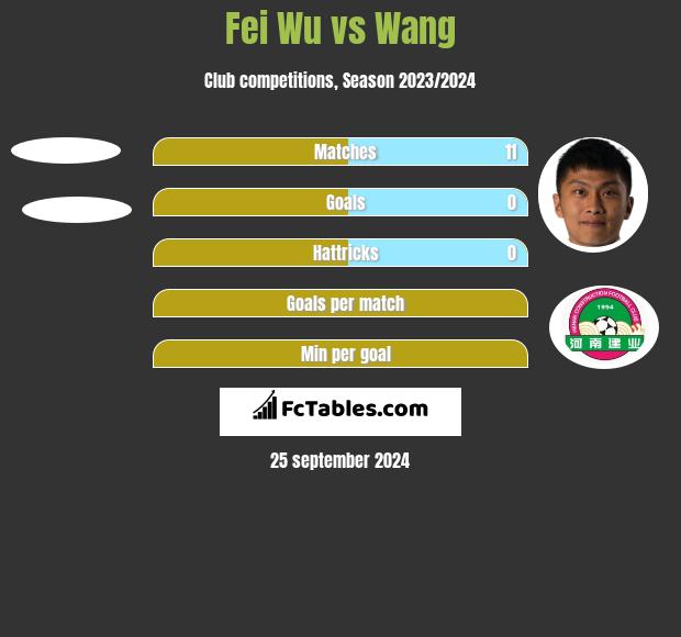 Fei Wu vs Wang h2h player stats