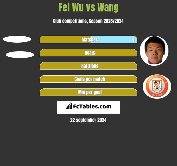 Fei Wu vs Wang h2h player stats