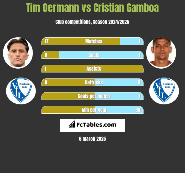 Tim Oermann vs Cristian Gamboa h2h player stats