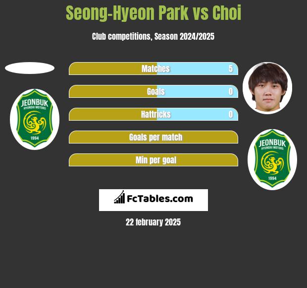 Seong-Hyeon Park vs Choi h2h player stats