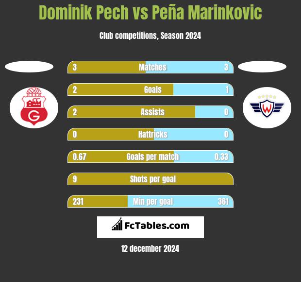 Dominik Pech vs Peña Marinkovic h2h player stats