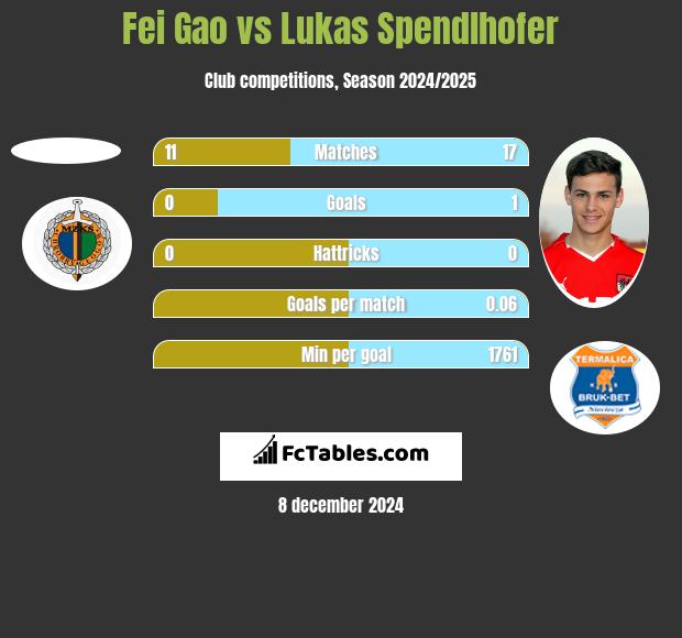 Fei Gao vs Lukas Spendlhofer h2h player stats