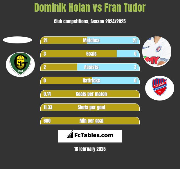 Dominik Holan vs Fran Tudor h2h player stats