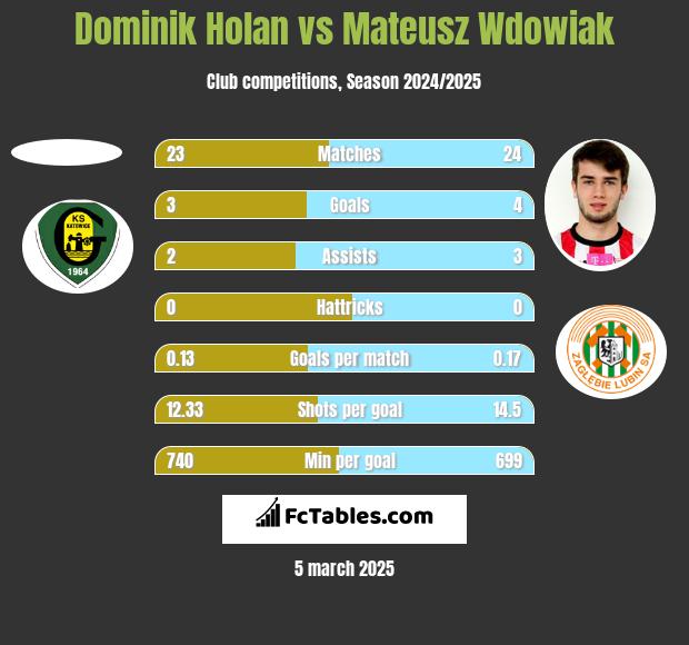 Dominik Holan vs Mateusz Wdowiak h2h player stats