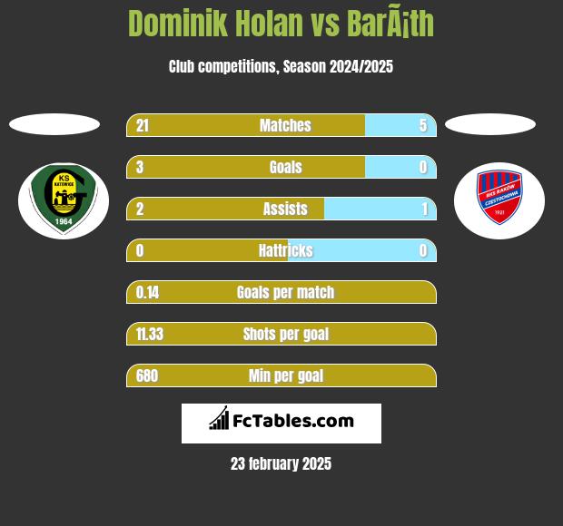 Dominik Holan vs BarÃ¡th h2h player stats