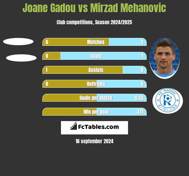 Joane Gadou vs Mirzad Mehanovic h2h player stats