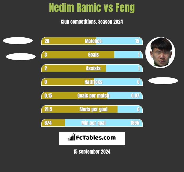 Nedim Ramic vs Feng h2h player stats