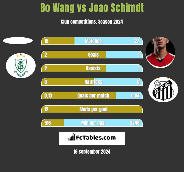 Bo Wang vs Joao Schimdt h2h player stats