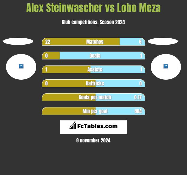 Alex Steinwascher vs Lobo Meza h2h player stats