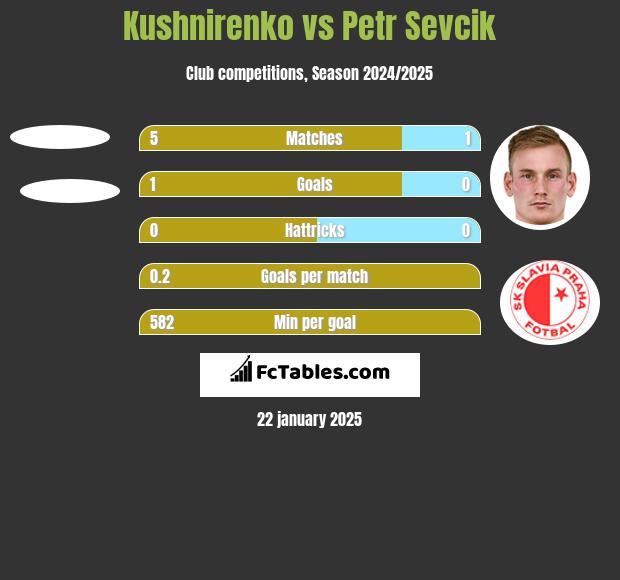 Kushnirenko vs Petr Sevcik h2h player stats