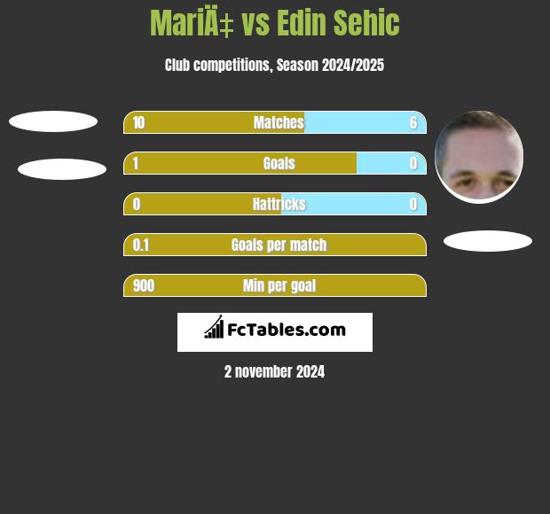 MariÄ‡ vs Edin Sehic h2h player stats