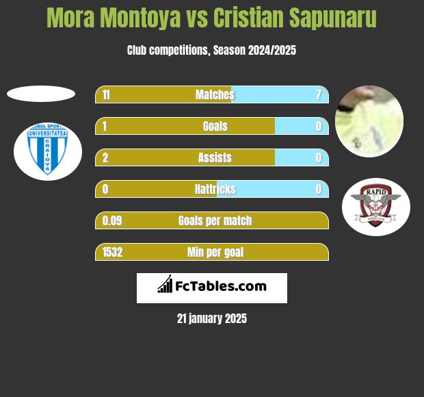 Mora Montoya vs Cristian Sapunaru h2h player stats