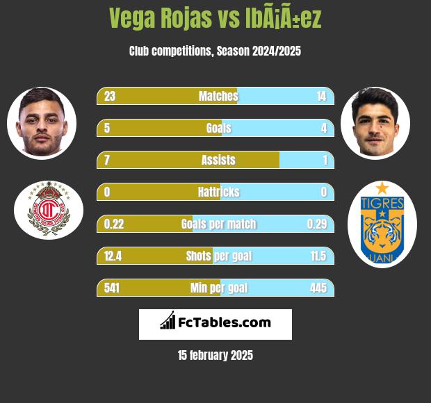 Vega Rojas vs IbÃ¡Ã±ez h2h player stats