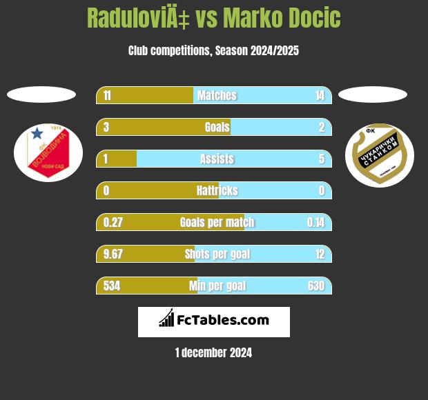 RaduloviÄ‡ vs Marko Docic h2h player stats