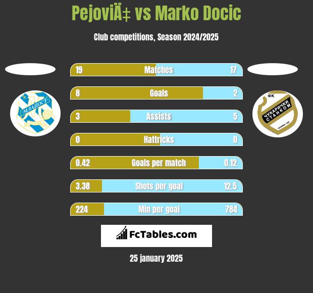 PejoviÄ‡ vs Marko Docic h2h player stats